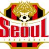  FC首尔logo