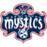 华盛顿神秘人logo