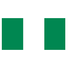  尼日利亚女足logo
