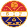  斯托姆加斯特logo