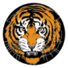  伊斯顿沙伯女足logo